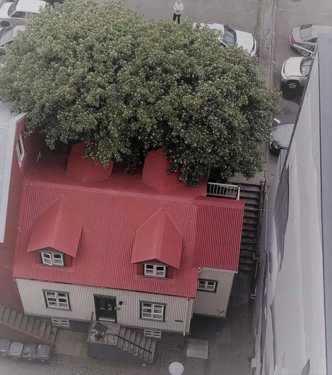 Grettir Guesthouse ريكيافيك المظهر الخارجي الصورة
